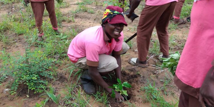 A Rocha Ghana plants 5,970 Trees At Bonyanto and Laribanga In The West Gonja Municipality