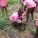 A Rocha Ghana plants 5,970 Trees At Bonyanto and Laribanga In The West Gonja Municipality