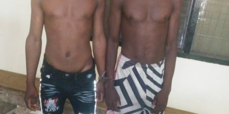 Crime:Police in the Savannah region arrest two suspected kidnappers.