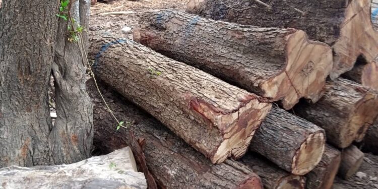 A LETTER TO MY MP—HON SAMUEL ABU JINAPOR BY SEIDU KUDUS GBEADESE