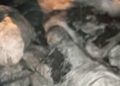 Damongo Youth Parliament and Canteen Youth Confiscate charcoal