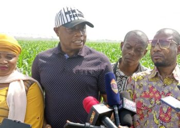 Take advantage of agricultural investment opportunities in the Savannah region- minister to investors