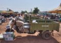 Savannah region marks 38th national farmers’ day -Daboya Mango city farms wins best.