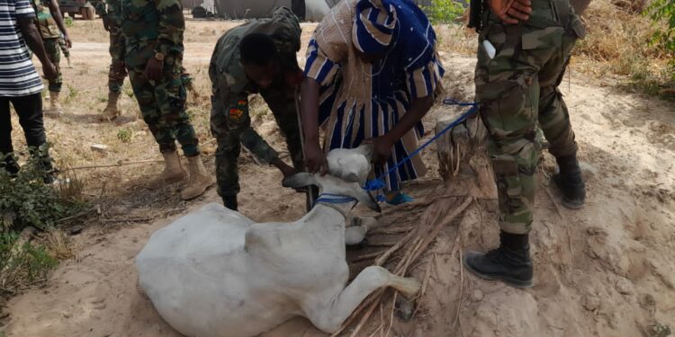Mankpanwura Achor-Ade donates four Bulls to Security Services institutions in the Savannah Region.