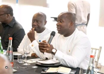 Caretaker Minister for Trade and Industry, Samuel Abu Jinapor meets with German Federal Minister for finance