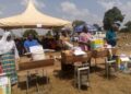 All You need to know about Bunyanso Farms Integrated Beekeeping and Cashew Plantation Enterprise
