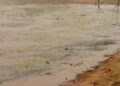 Stakeholders at Damongo – Canteen places temporal ban on fetching of Canteen Dam for commercial purposes.