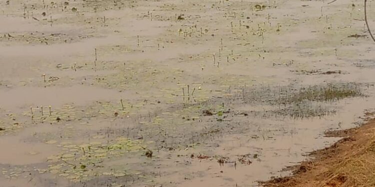 Stakeholders at Damongo – Canteen places temporal ban on fetching of Canteen Dam for commercial purposes.