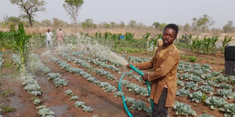 Irrigation farmer at Sor No. 1 appeals for Support to increase production.