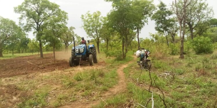 Farmers in Sori Electoral area eulogize Abu Jinapor for supporting them with tractor to plough their farmlands.