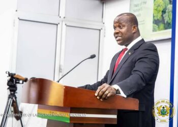 Lands and Natural Resources Minister calls for collective support to safeguard the country’s forest.