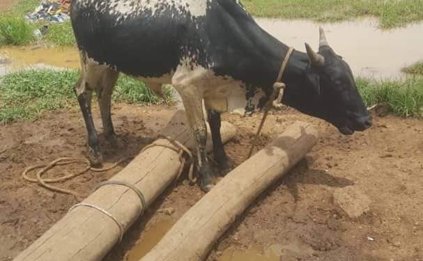 DABOYA TOWNSHIP AND ISSUES AROUND IT. FIX THE ROADS FOR DABOYA PEOPLE