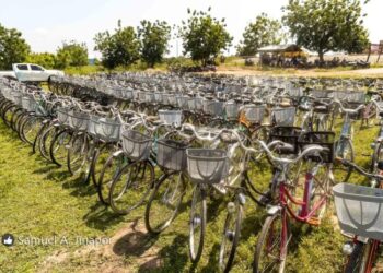Abu Jinapor Provides 200 Bicycles to Schoolchildren in Need at Busunu