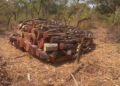 Urgent Call to Action as Northcode Ghana Battles Environmental Threats in Jelinkon CREMA.
