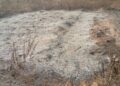 Harmattan: Farmer loses 10 hectares of soya beans to bushfire in Damongo