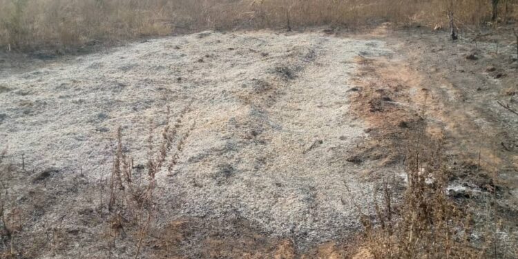 Harmattan: Farmer loses 10 hectares of soya beans to bushfire in Damongo