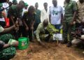 Abu Jinapor Launches Green Damongo Project, Pledges to Plant 32,000 Trees.