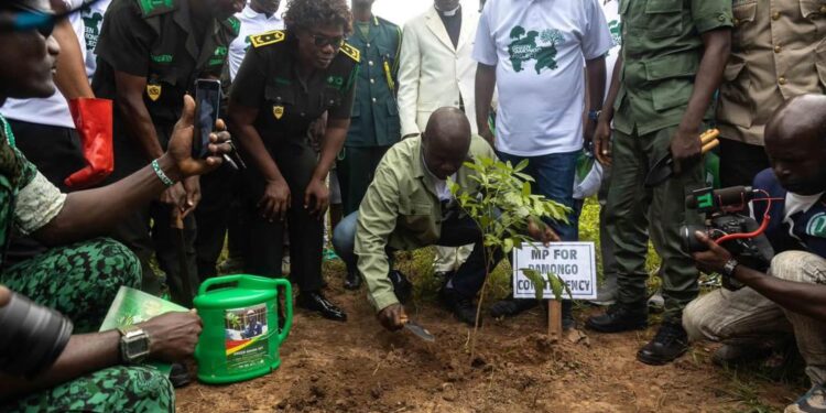 Abu Jinapor Launches Green Damongo Project, Pledges to Plant 32,000 Trees.