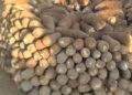 GNACWO National Chairman Honors Mr. Kapori with 100 Tubers of Yams and Assorted Drinks