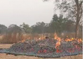 Savannah regional minister’s heeps of maize completely burn into ashes at his farm