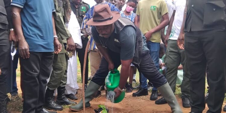 Savannah Region Launches 2025 Tree for Life Program: A Call to Restore Ghana’s Degraded Landscapes