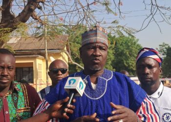 NPP to Unite Behind Winner of 2026 Presidential Primaries for 2028 Elections – Prof Kalamonia