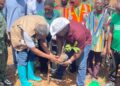 Tree For Life: Regional Minister Directs District Assemblies to Enact By-Laws Against Commercial Charcoal Production