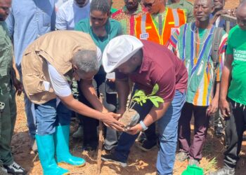 Tree For Life: Regional Minister Directs District Assemblies to Enact By-Laws Against Commercial Charcoal Production