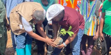 Tree For Life: Regional Minister Directs District Assemblies to Enact By-Laws Against Commercial Charcoal Production