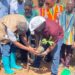 Tree For Life: Regional Minister Directs District Assemblies to Enact By-Laws Against Commercial Charcoal Production