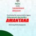 NDC: Bashiru Amantana Set To Officially Declare An Intent To Contest Savannah Regional Communication Officer
