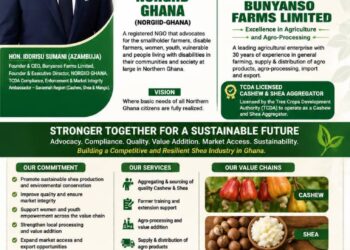 Bunyanso Farms, NORGIID Ghana Drive Sustainable Beekeeping, Honey Value Chain and Eco-Tourism Development in Savannah Region
