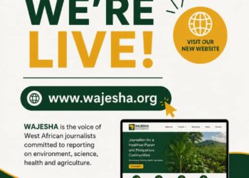 WAJESHA launches website to expand specialised journalism network across West Africa