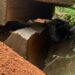 Hangaline Assemblyman calls for halt in Gravel hauling as Damongo Cemetery Road culvert Faces Imminent Collapse.